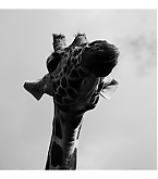 20180628_2.jpg