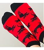 20180701_1.jpg