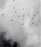 201401_header.jpg