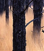 201508_header.jpg