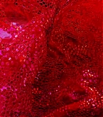 201510_header1.jpg