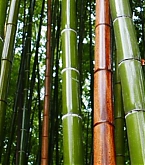 201707_header.jpg