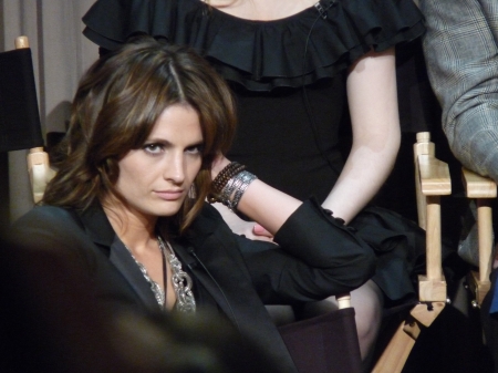 © [url=http://www.flickr.com/photos/starbright31]starbright31[/url]
Palavras chave: PaleyFest;An Evening With Castle;Paley Center;2010;eventos;painel
