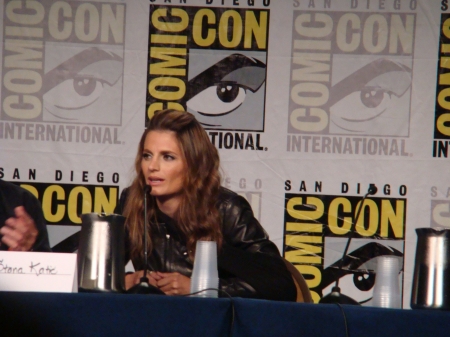Palavras chave: ComicCon;Comic-Con;Comic Con;panel;Batman: Arkham City;Batman;Arkham City;game;video game;Talia al Ghul;2011;SDCC;San Diego