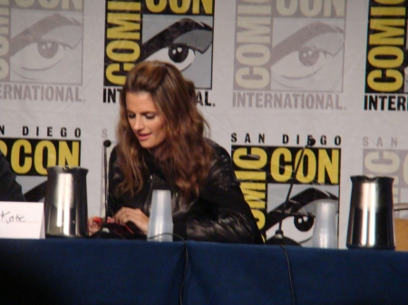 Palavras chave: ComicCon;Comic-Con;Comic Con;panel;Batman: Arkham City;Batman;Arkham City;game;video game;Talia al Ghul;2011;SDCC;San Diego