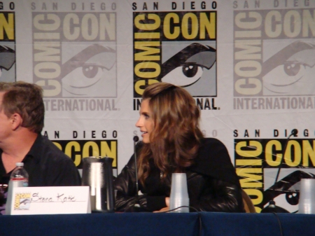 Palavras chave: ComicCon;Comic-Con;Comic Con;panel;Batman: Arkham City;Batman;Arkham City;game;video game;Talia al Ghul;2011;SDCC;San Diego