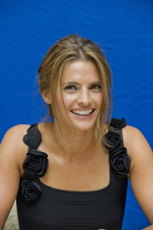 Palavras chave: FPA;Castle;season 4;press conference;2011;4ª temporada;coletiva de imprensa;Hollywood Foreign Press Association