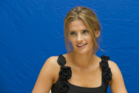 Palavras chave: FPA;Castle;season 4;press conference;2011;4ª temporada;coletiva de imprensa;Hollywood Foreign Press Association