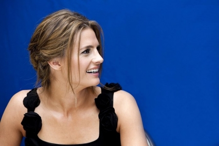 Palavras chave: FPA;Castle;season 4;press conference;2011;4ª temporada;coletiva de imprensa;Hollywood Foreign Press Association