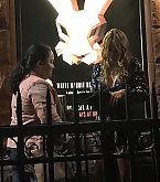 cecimartin_027.jpg
