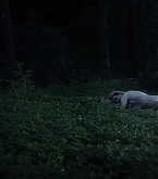 0200.jpg