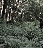 05.jpg