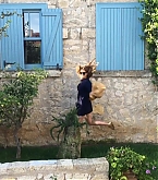 006.jpg