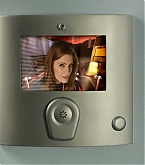 0005.jpg
