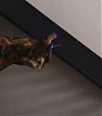 004.jpg
